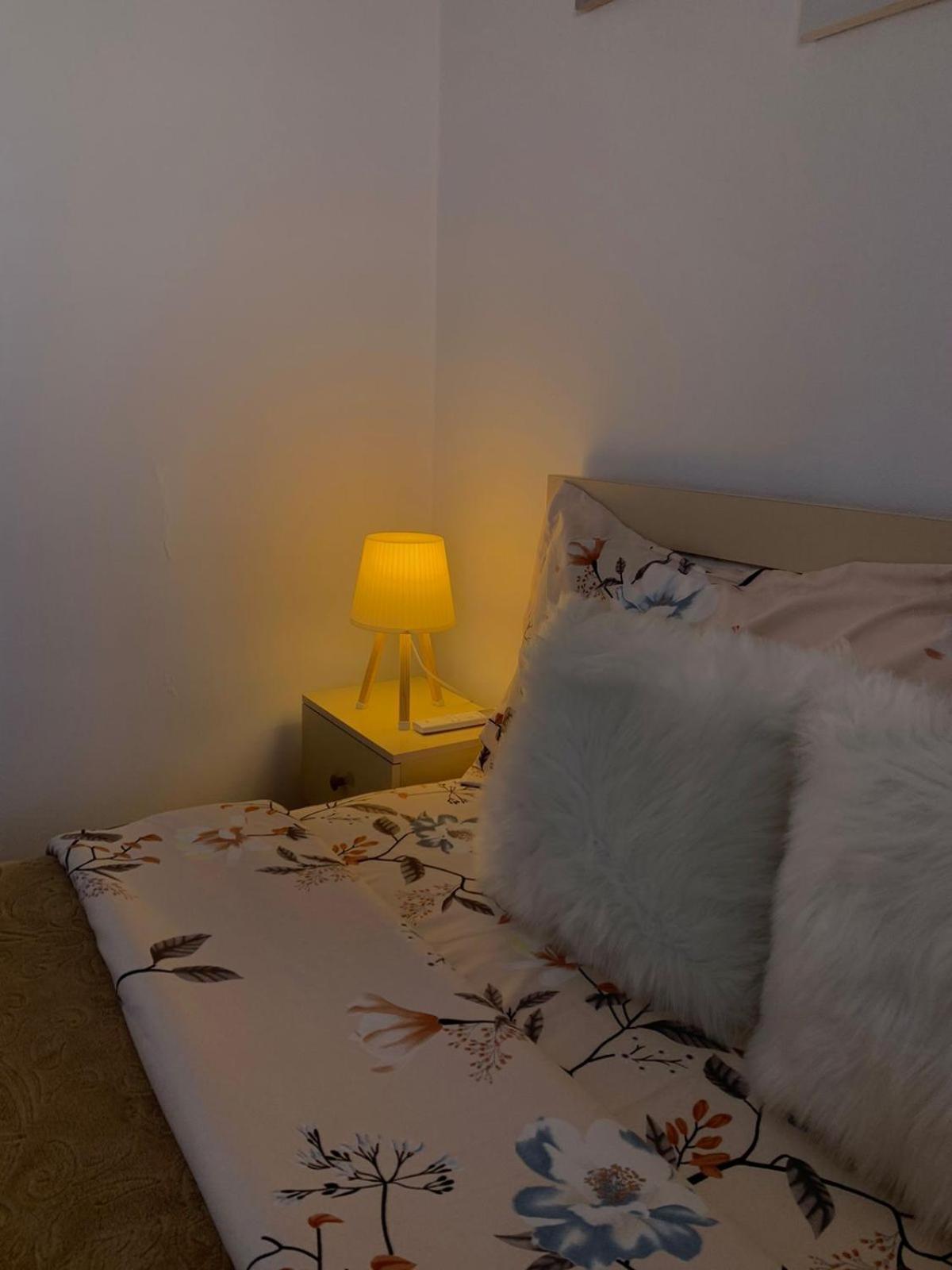 Ridi'S Comfort Apartment 2 Shkodër 外观 照片
