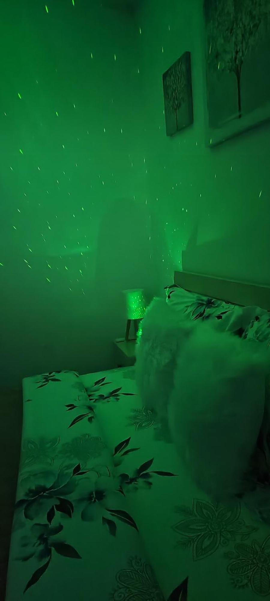 Ridi'S Comfort Apartment 2 Shkodër 外观 照片